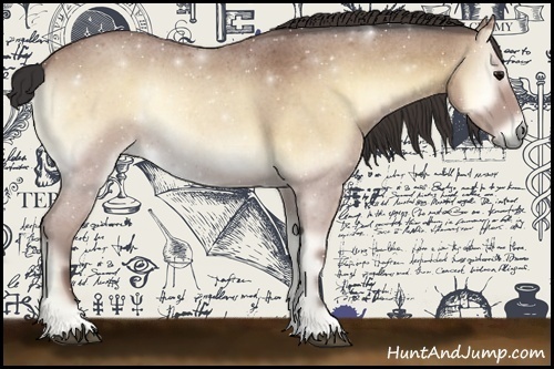 Horse Color:Buckskin Roan Onyx
