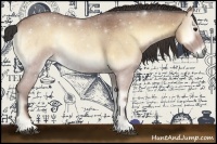 Horse Color:Buckskin Roan Onyx