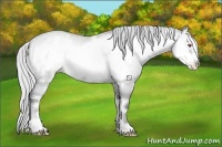 Horse Color:Silver Blue Onyx Chinchilla Pearl Frame 