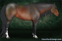 Horse Color:Brown Sabino