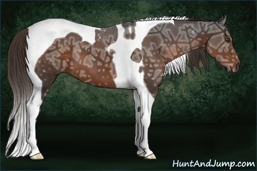 Horse Color:Liver Chestnut Ice Tobiano