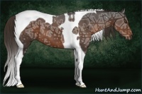 Horse Color:Liver Chestnut Ice Tobiano