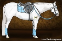 Horse Color:Silver Black Splash Frame Snowcap 