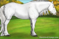 Horse Color:White Spotted Silver Brown Pearl 