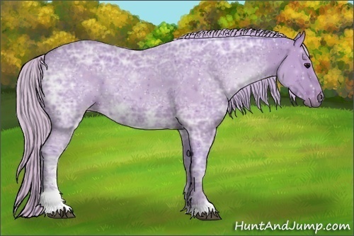 Horse Color:Watercolor Silver Black Ice Sabino