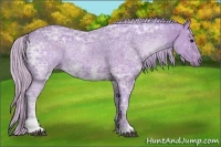 Horse Color:Watercolor Silver Black Ice Sabino 