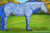 Horse Color:Watercolor White Spotted Black Ice