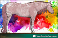 Horse Color:Watercolor Chestnut Ice Rabicano 