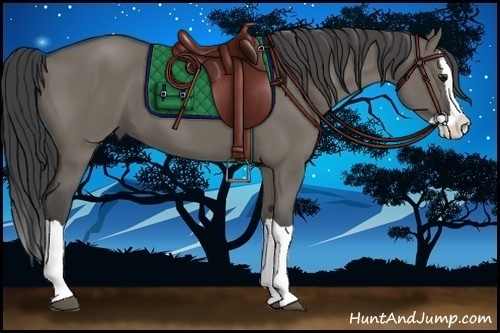 Horse Color:Smoky Grullo Splash