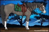 Horse Color:Smoky Grullo Splash