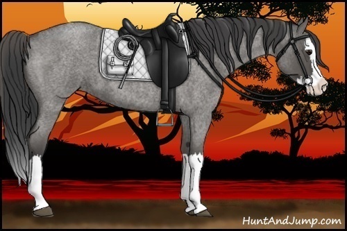 Horse Color:Smoky Grullo Roan Splash 