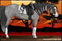 Horse Color:Smoky Grullo Roan Splash 