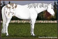 Horse Color:Chocolate Palomino Roan Snowflake Varnish