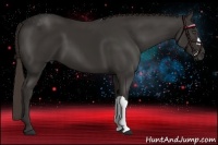 Horse Color:Liver Chestnut Frame