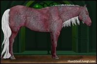 Horse Color:Silver Smoky Black Chinchilla Ice