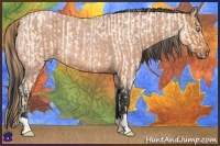 Horse Color:Buckskin Roan Pearl  and Bay Roan 