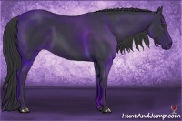 Horse Color:Black Frame 