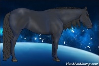 Horse Color:Black Frame 