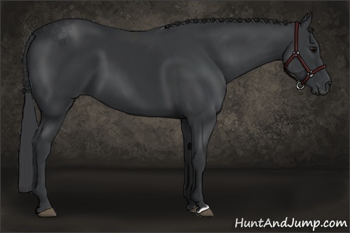 Horse Color:Black Frame