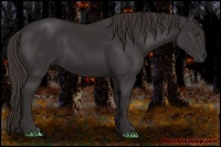 Horse Color:Liver Chestnut Frame 