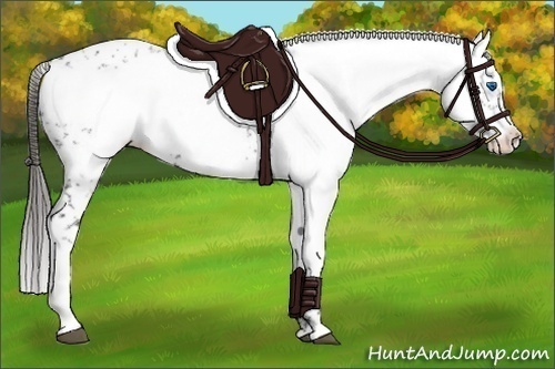 Horse Color:Liver Chestnut Frame 