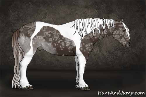 Horse Color:Liver Chestnut Ice Tobiano Frame 