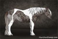Horse Color:Liver Chestnut Ice Tobiano Frame 