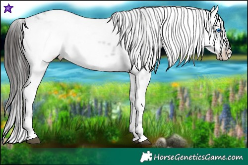 Horse Color:Liver Chestnut Ice Frame 