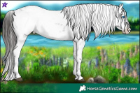 Horse Color:Liver Chestnut Ice Frame 