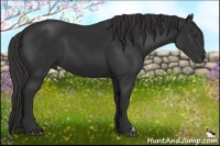 Horse Color:Liver Chestnut Frame 