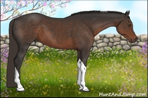 Horse Color:Liver Chestnut Tobiano 