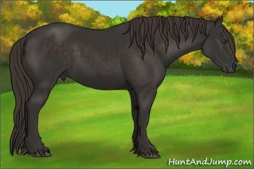 Horse Color:Liver Chestnut Frame 