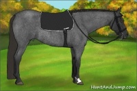 Horse Color:Liver Red Roan Frame Rabicano 