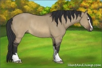 Horse Color:Brown Dun Sabino Rabicano