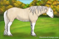 Horse Color:Silver Classic Champagne Roan Dun Splash 