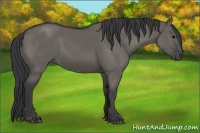 Horse Color:Grullo 