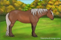 Horse Color:Silver Bay