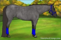 Horse Color:Liver Red Roan Frame 