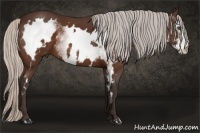 Horse Color:White Spotted Silver Bay Frame 