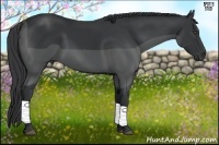 Horse Color:Black Frame 