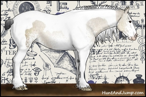 Horse Color:White Spotted Brown Dun Tobiano 