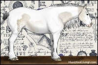 Horse Color:White Spotted Brown Dun Tobiano 