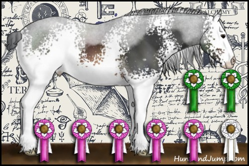 Horse Color:White Spotted Brown 