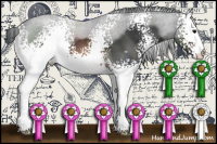 Horse Color:White Spotted Brown 
