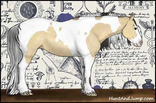 Horse Color:Buckskin Dun Sabino Splash Tobiano 