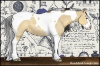 Horse Color:Buckskin Dun Sabino Splash Tobiano