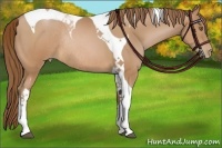 Horse Color:Brown Pearl Tobiano Rabicano