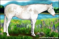 Horse Color:White Spotted Chocolate Palomino Ice Pearl