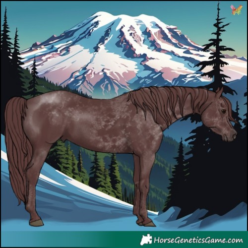 Horse Color:Chocolate Black Mushroom