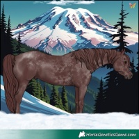 Horse Color:Chocolate Black Mushroom